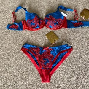 NWT Agent Provocateur bra and panties set